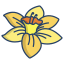 external-daffodil-flower-icongeek26-linear-colour-icongeek26