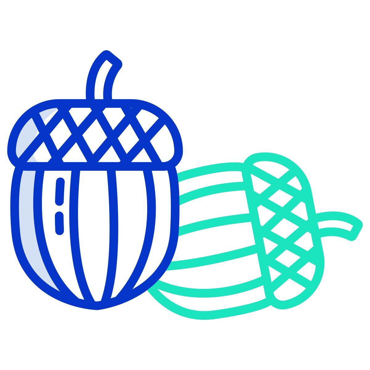 acorn icon