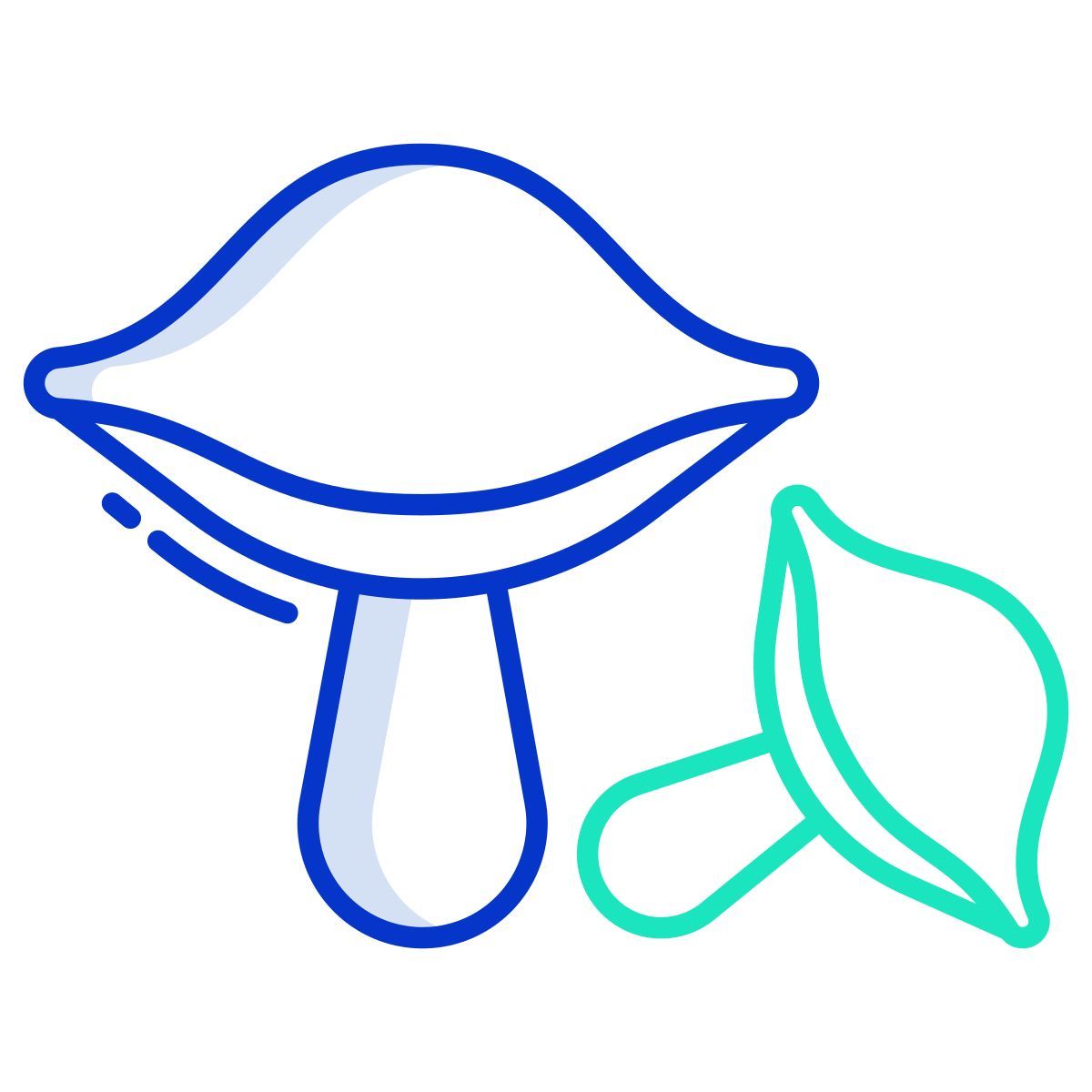 amanita icon