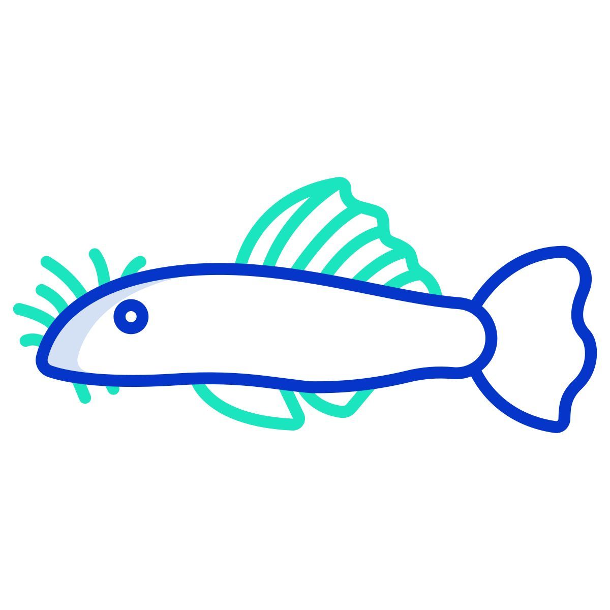 ancistrus fish icon