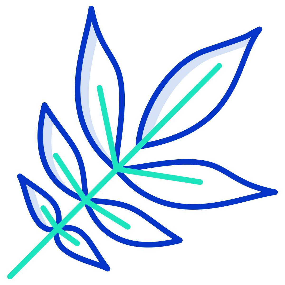 ash leaf icon