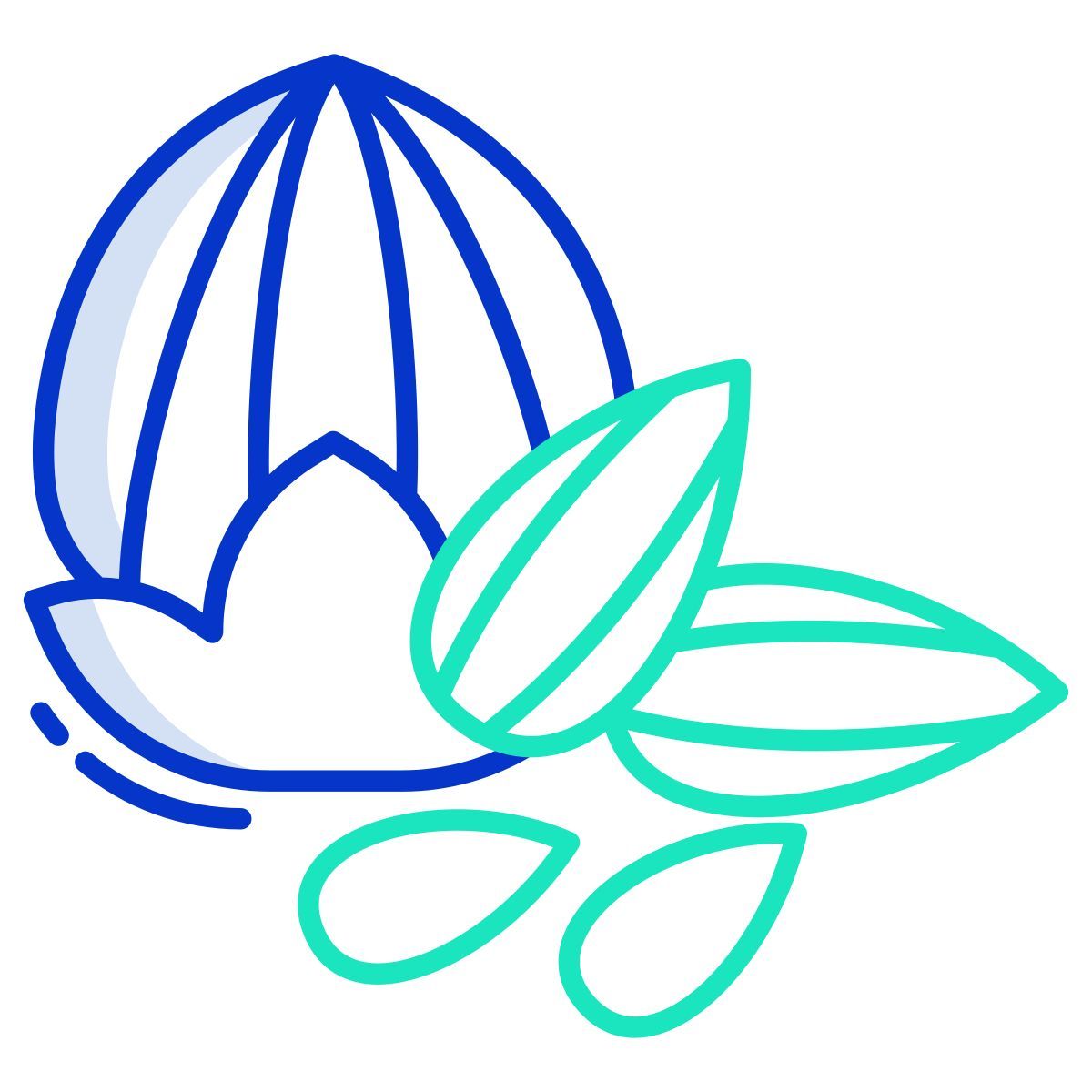 badam and walnut icon