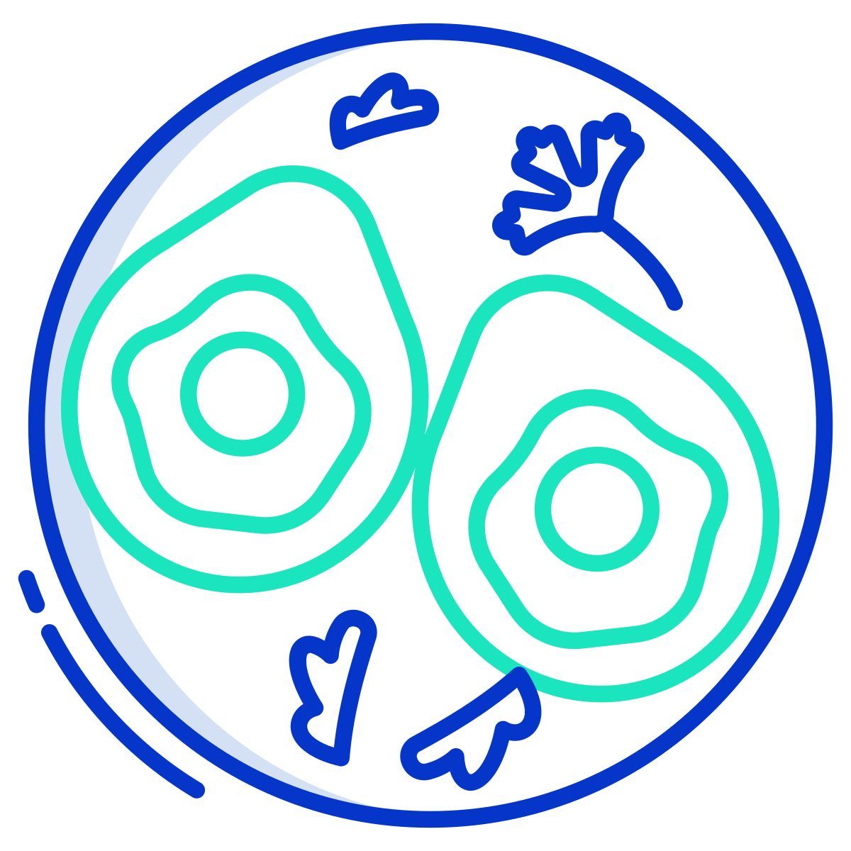 baked avocado and egg icon