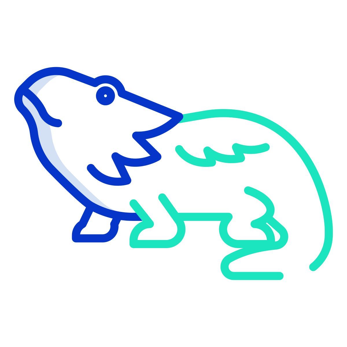 bearded dragon icon