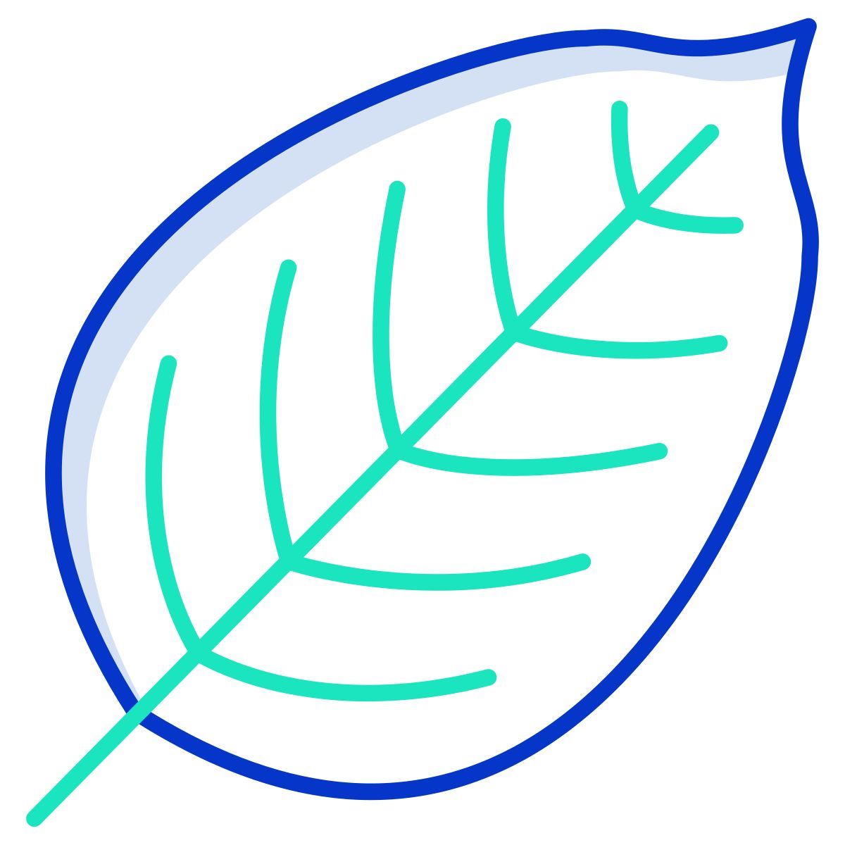 folha de faia icon