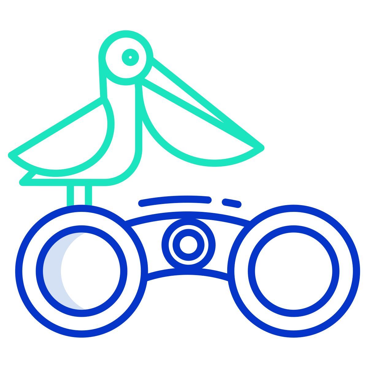 bird watching binocular icon