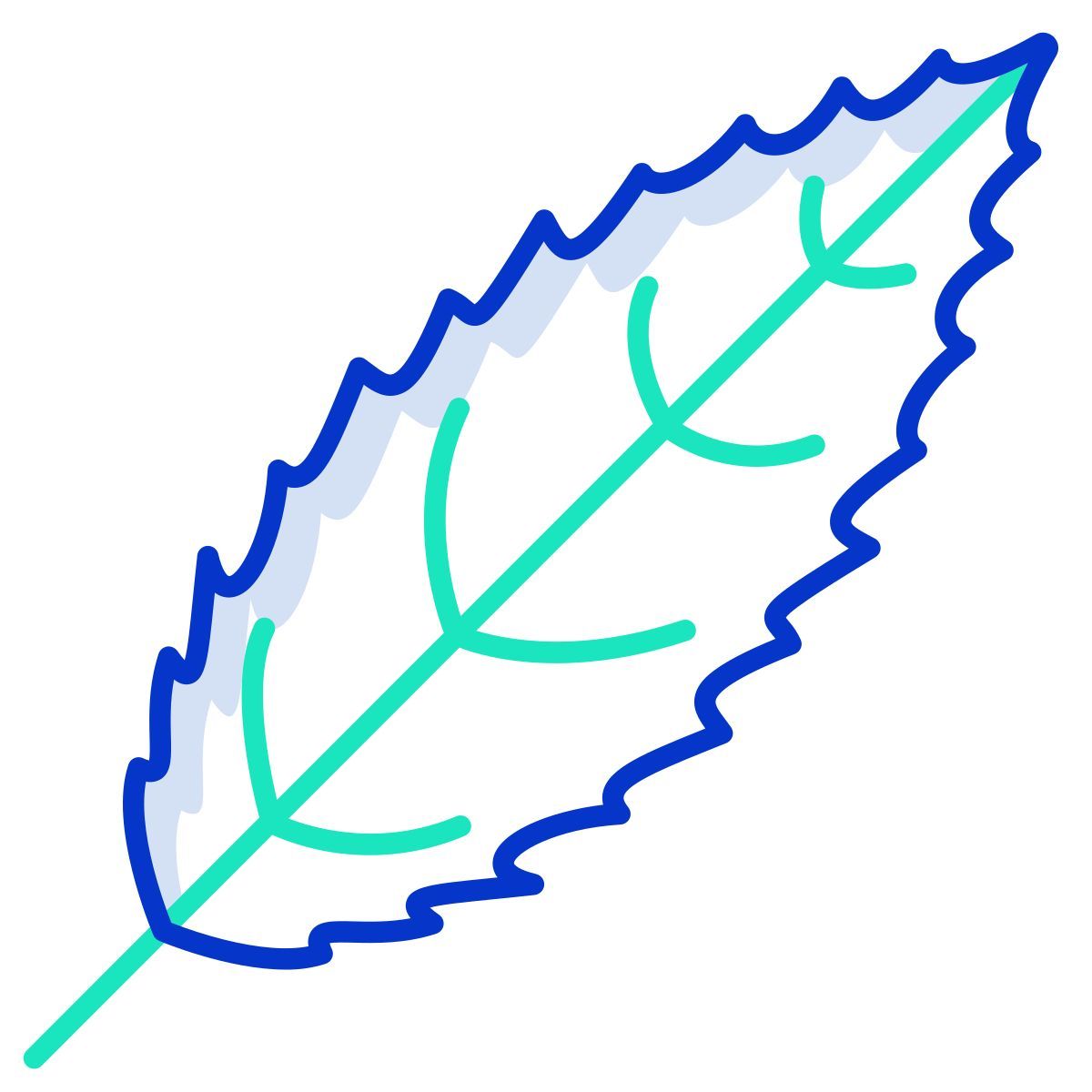 black cherry leaf icon