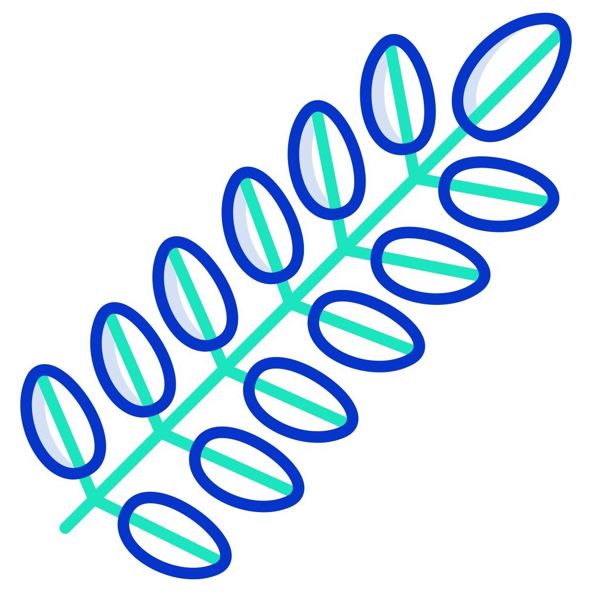 black locust leaf icon
