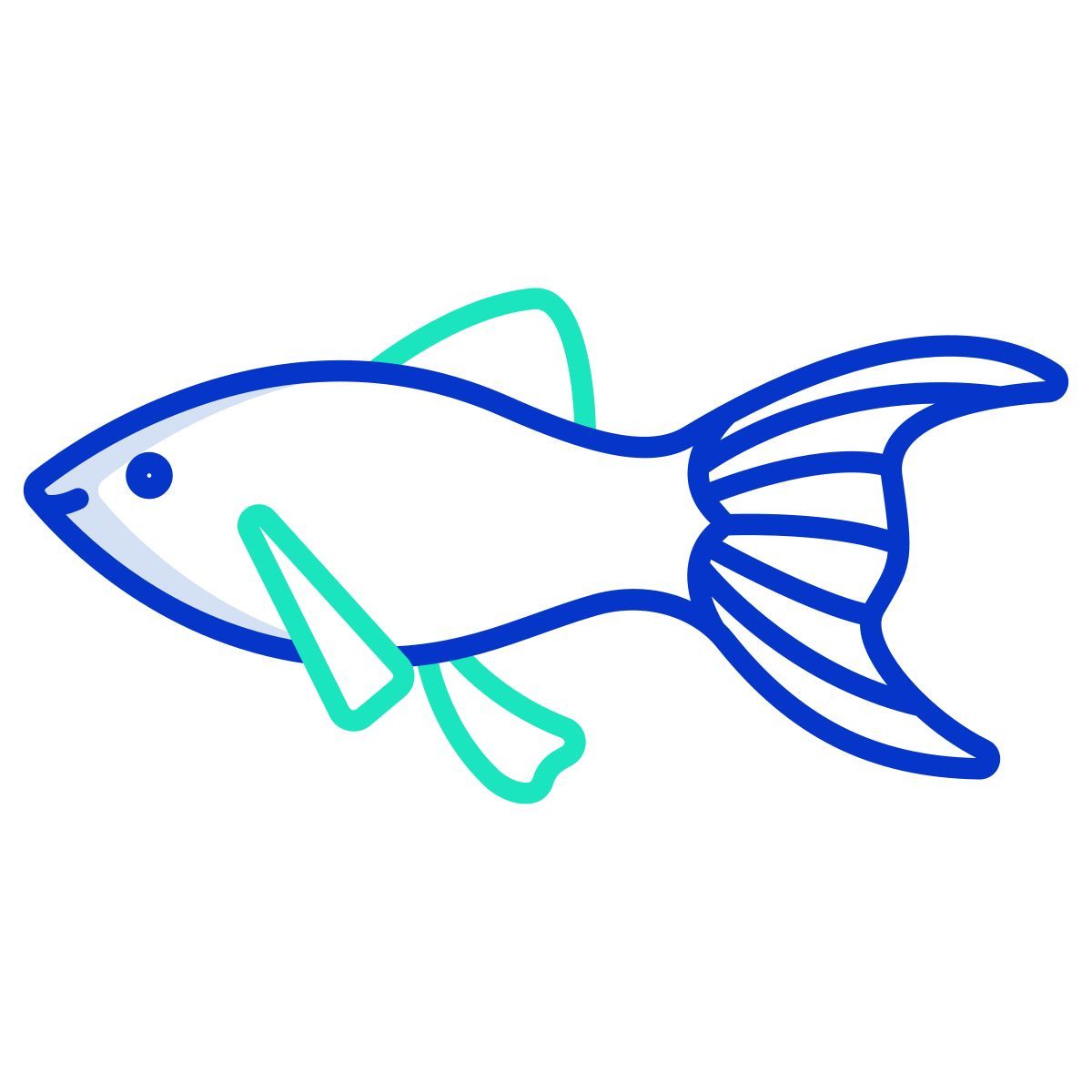 black molly fish icon