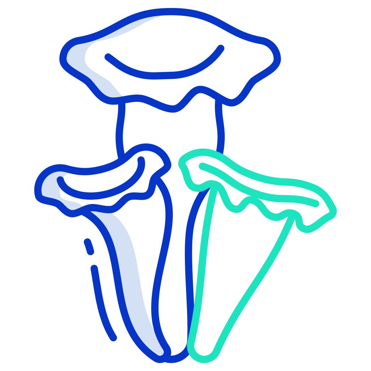 black trumpet mushrooms icon