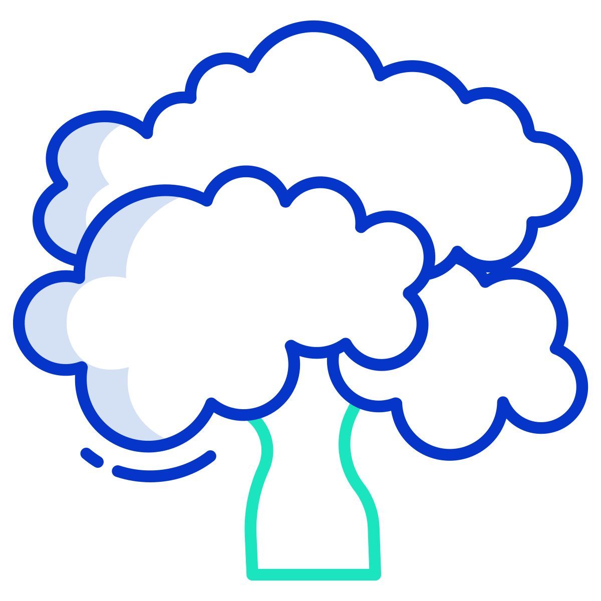 black walnut icon