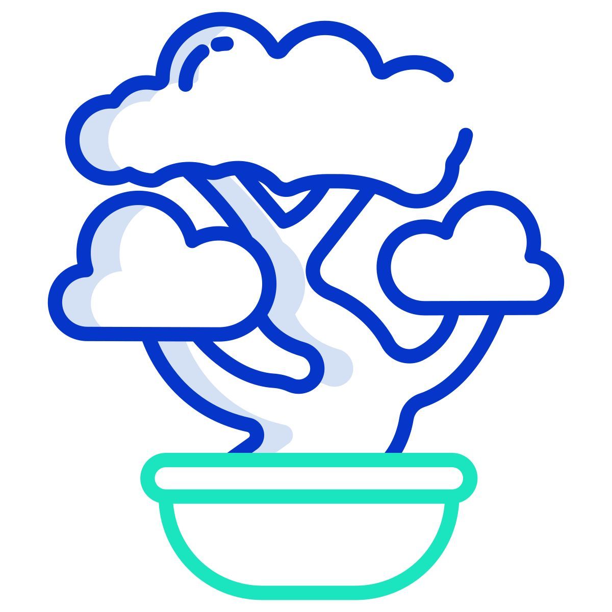 bonsai icon