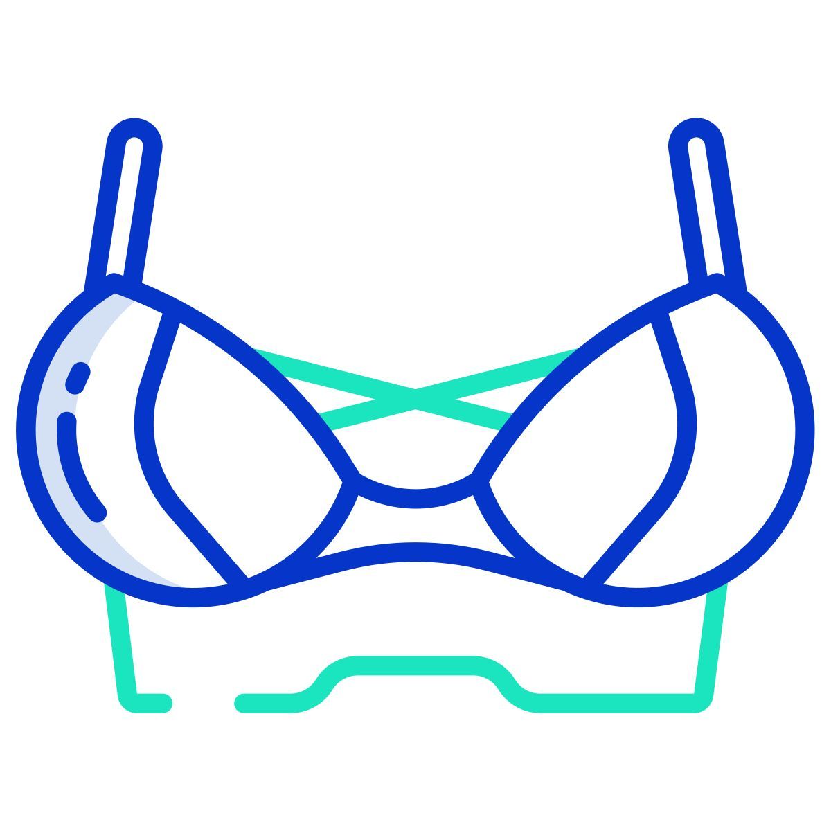 bra icon