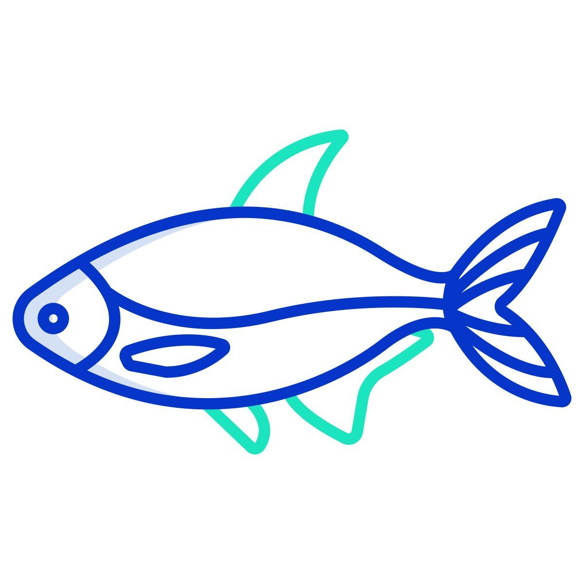 bream fish icon