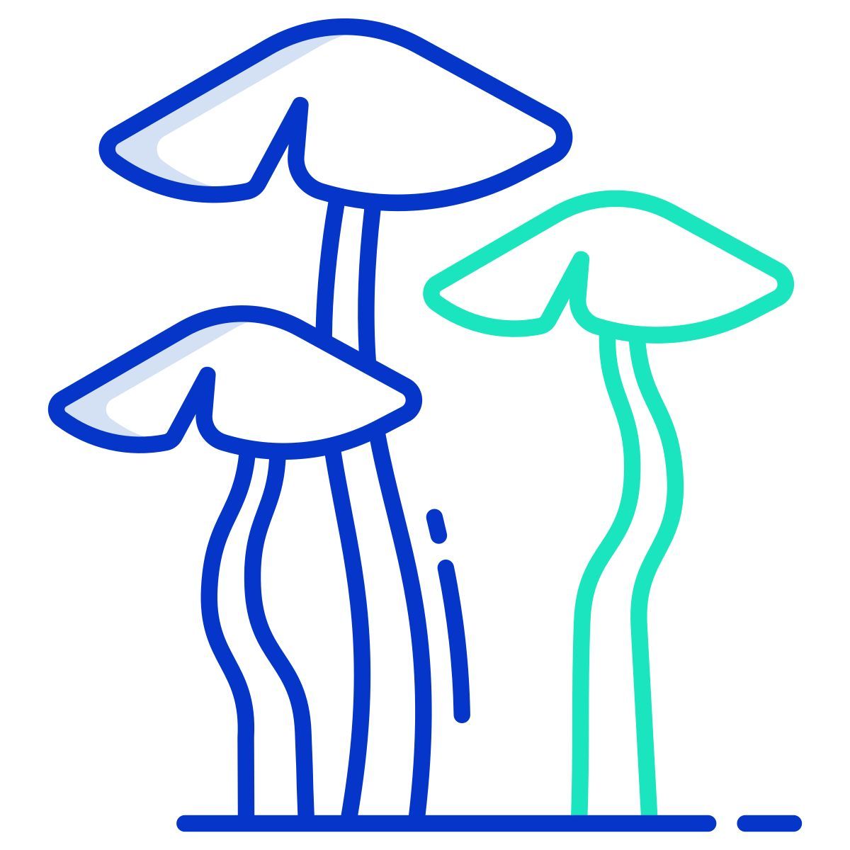 brown cap boletus icon