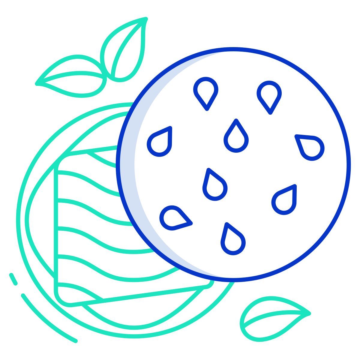 burger icon