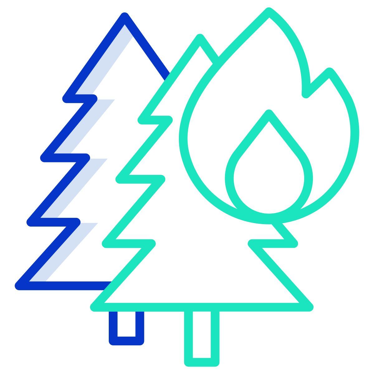 bush fire icon