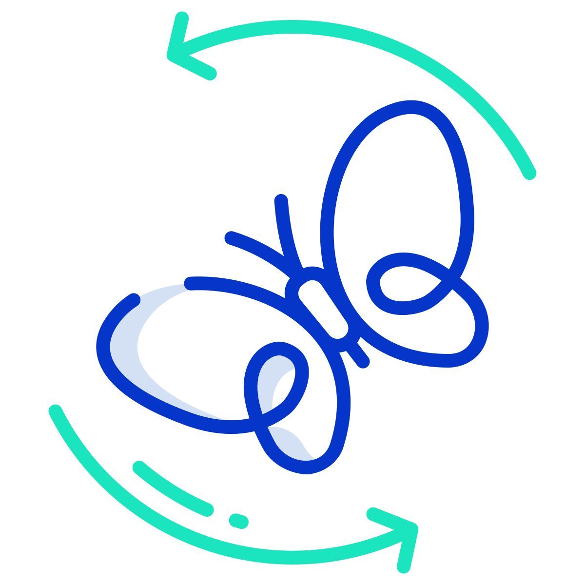 butterfly icon