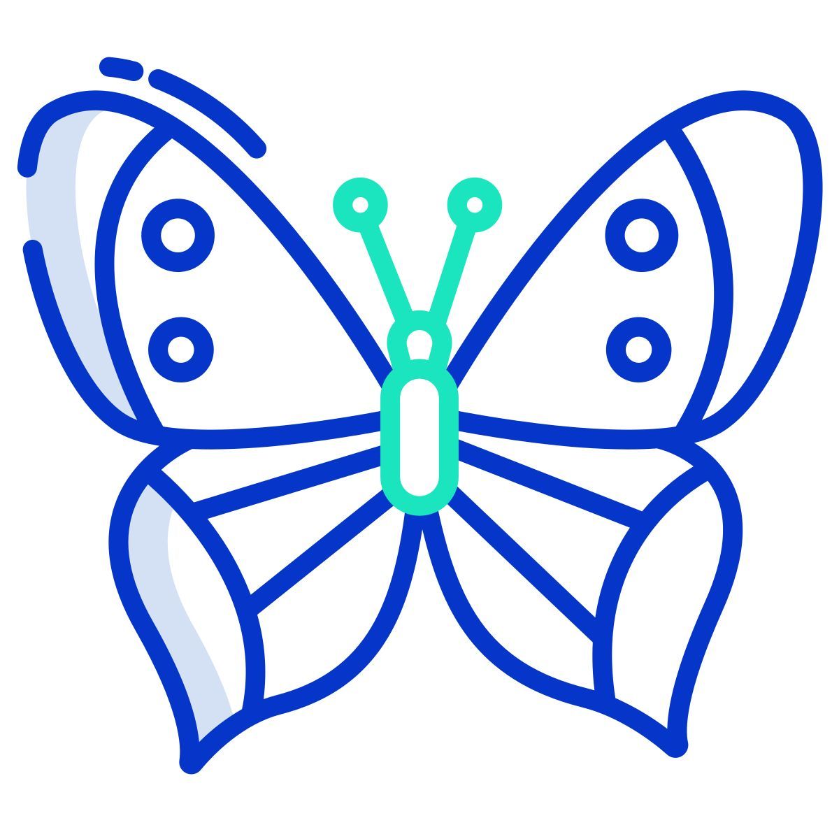 butterfly icon