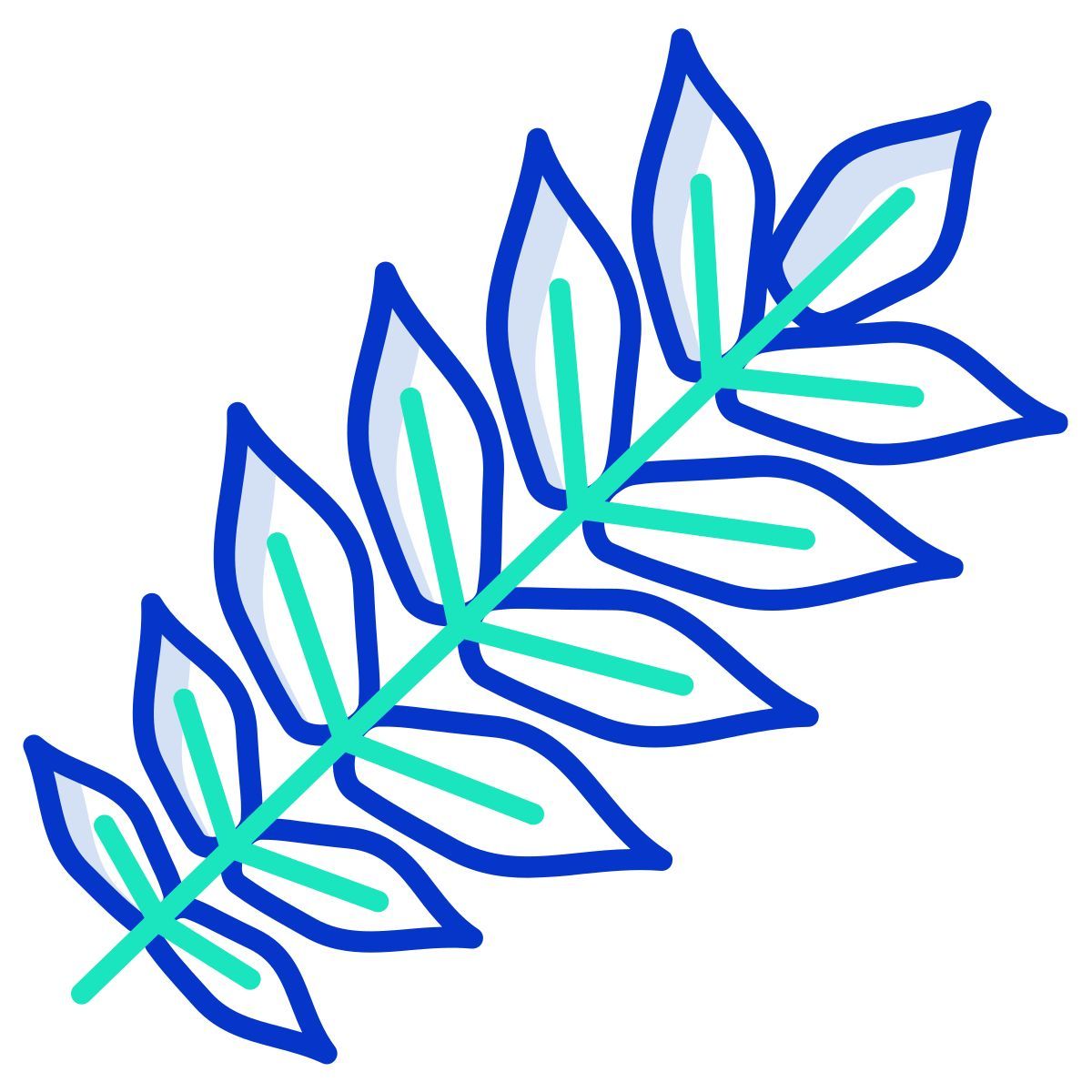 butternut leaf icon