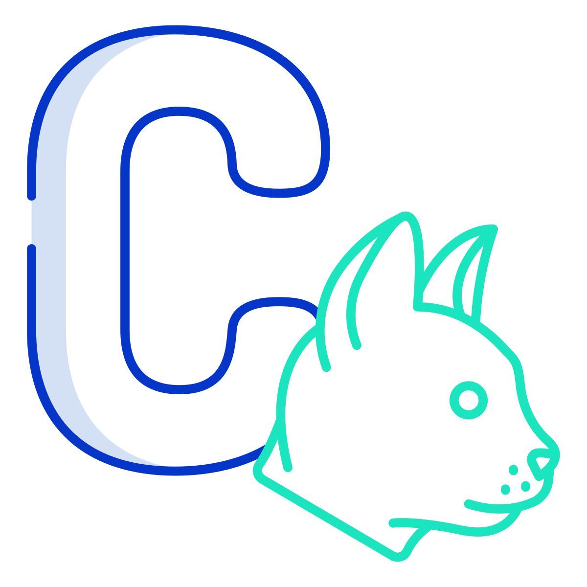 c icon