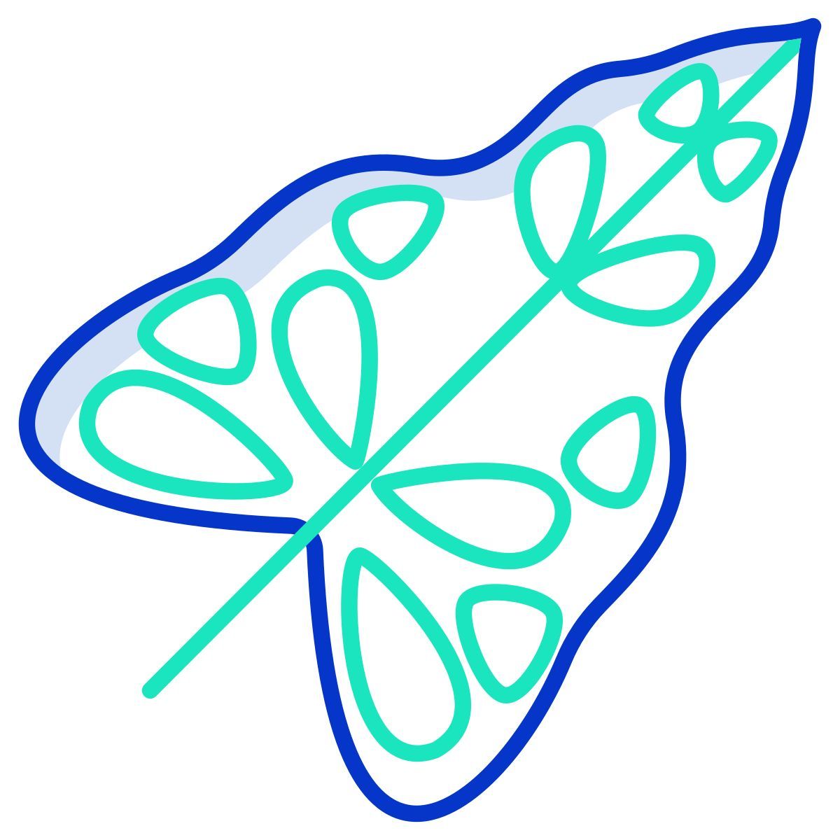 caladium leaf icon