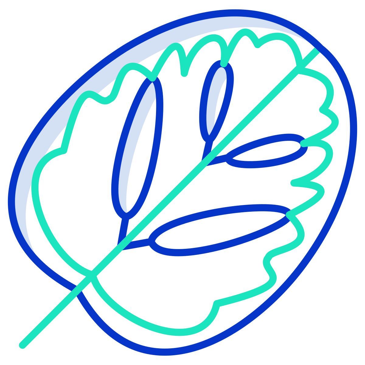 calathea leaf icon