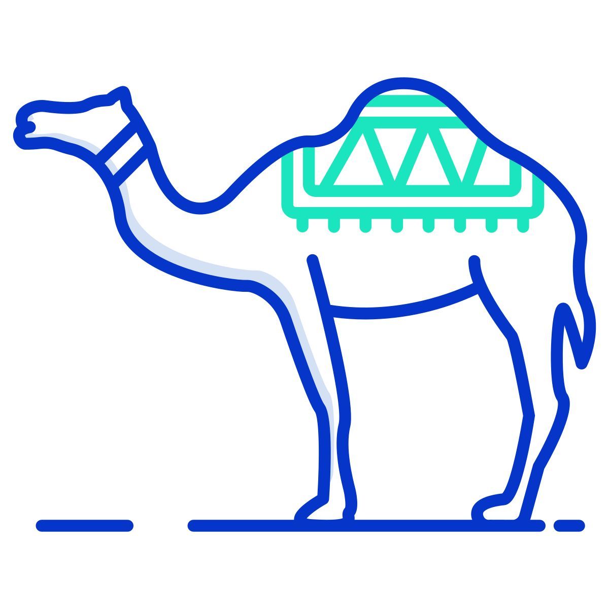 camel icon