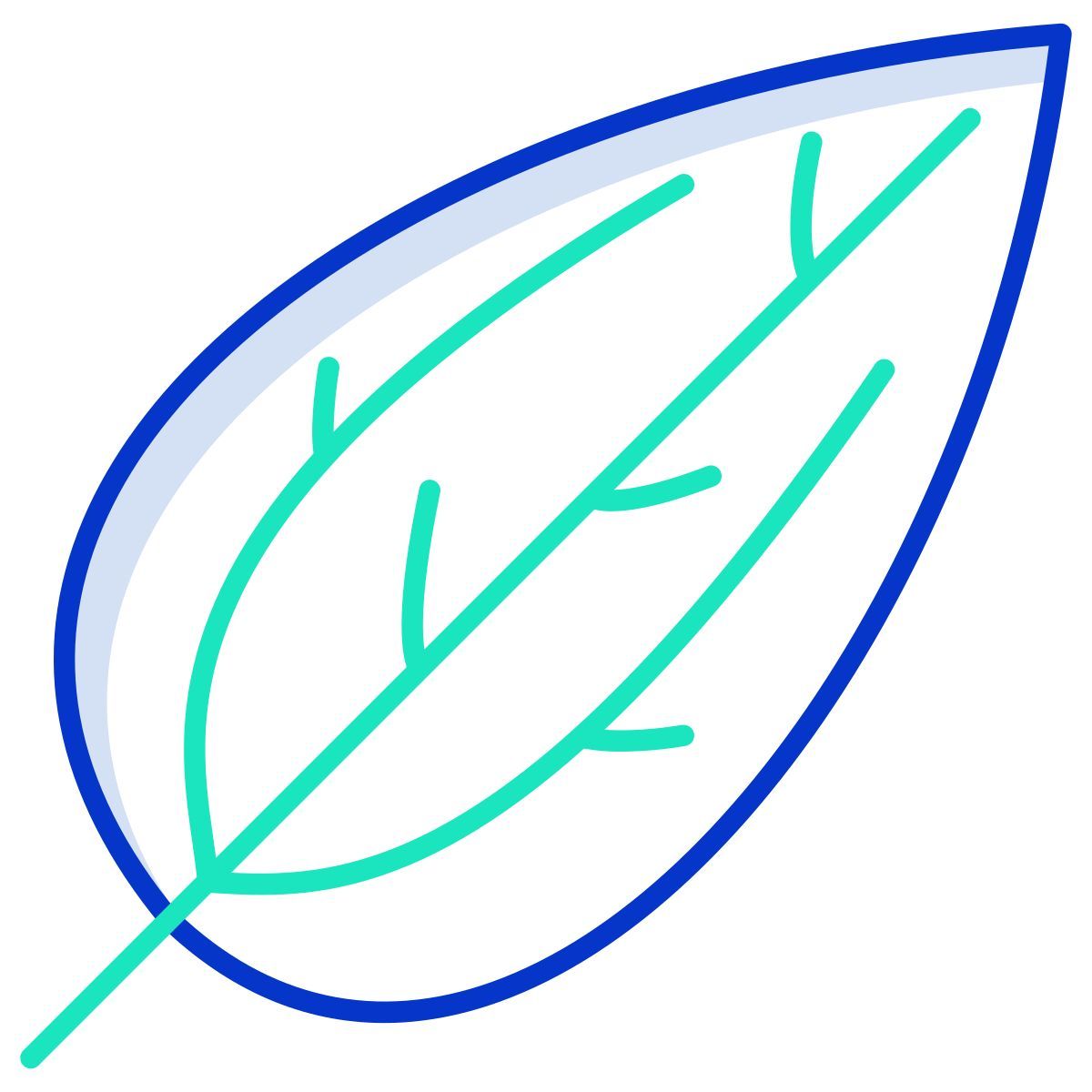 camphor leaf icon