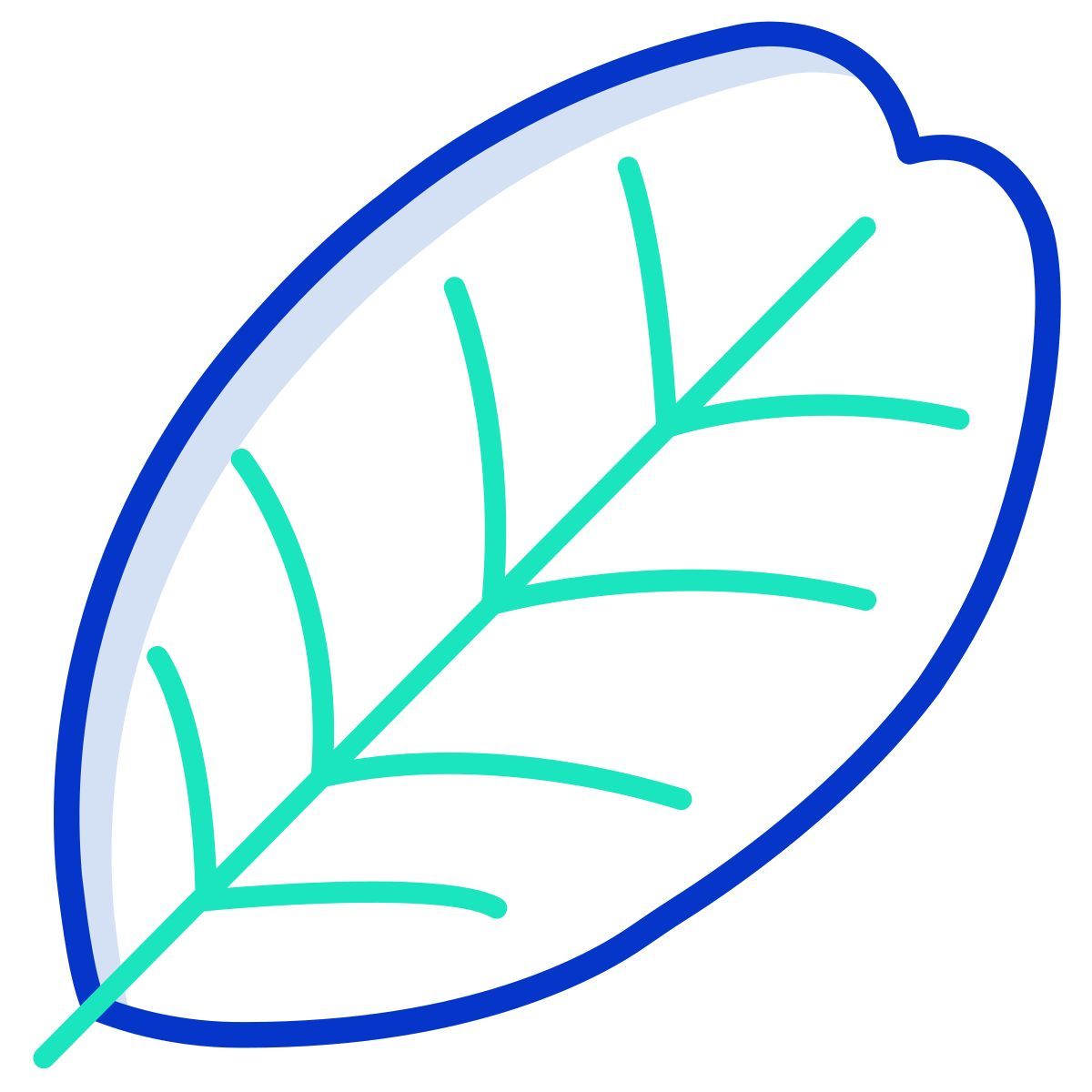 carob tree leaf icon