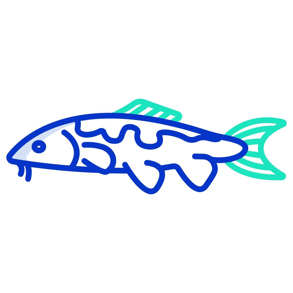 carp koi fish icon