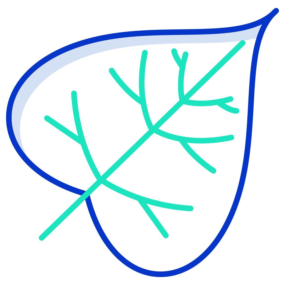 catalpa leaf icon