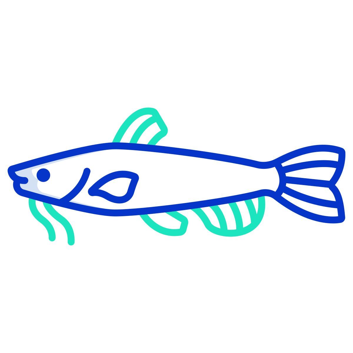 Catfish icon
