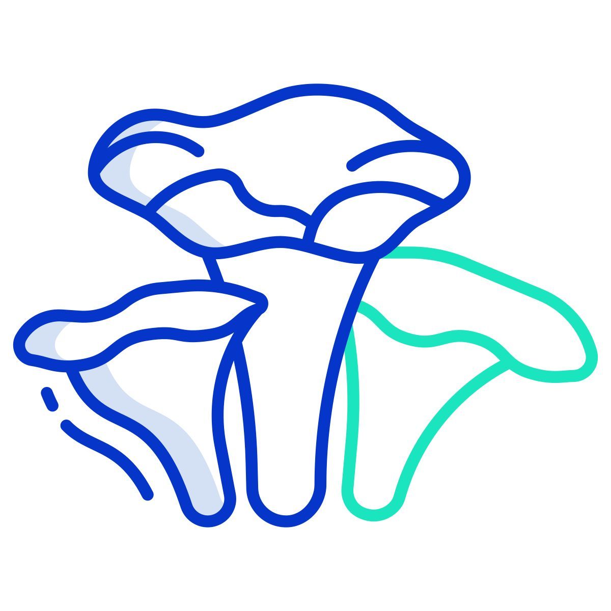chanterelle mushrooms icon