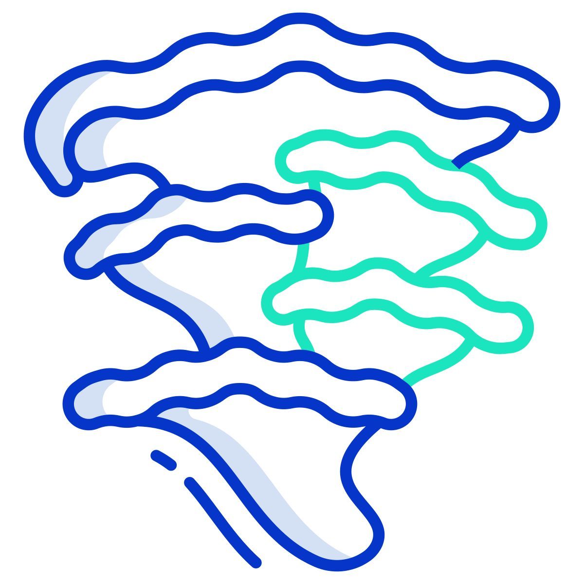 chicken of the woods mushroom icon