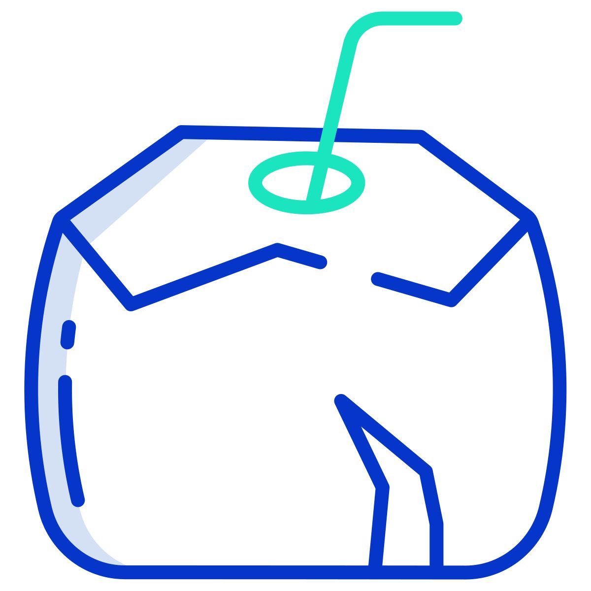 coconut icon