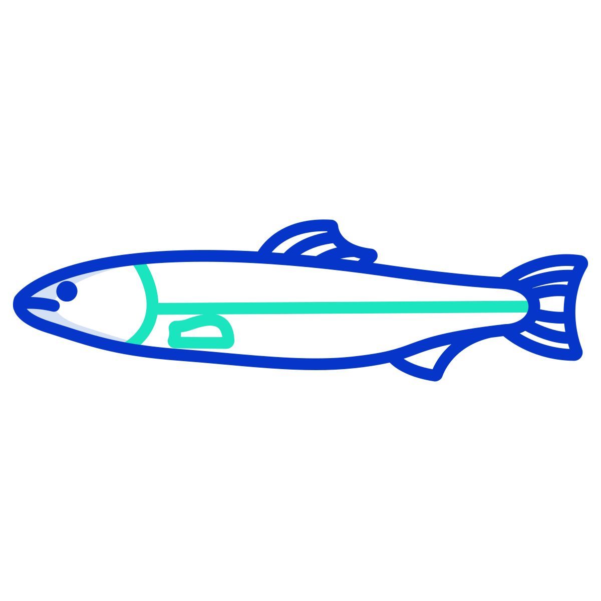 coho fish icon