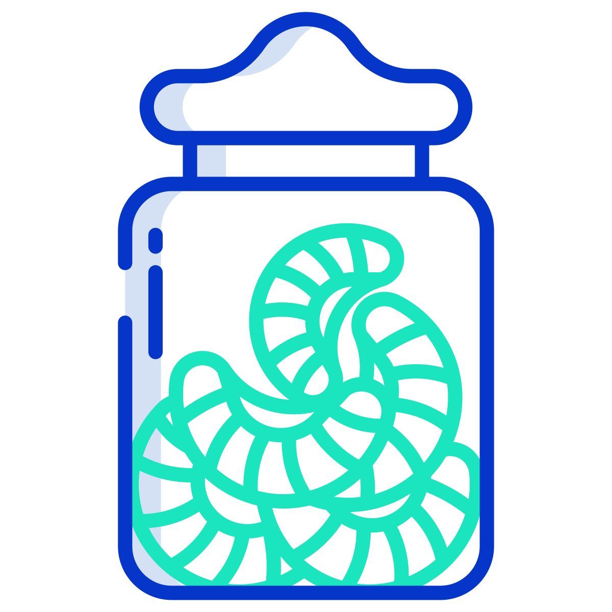 color orange candies icon