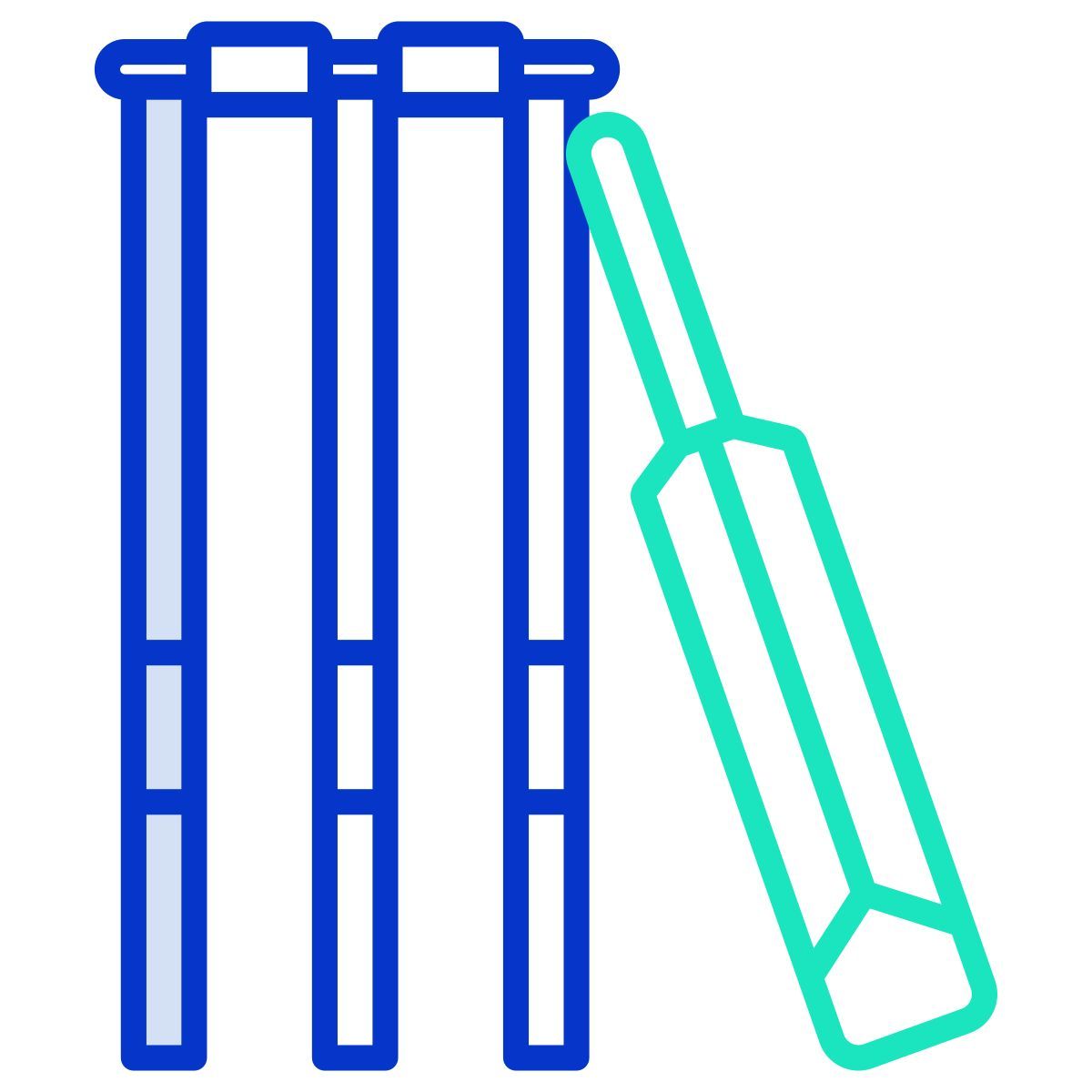 cricket icon