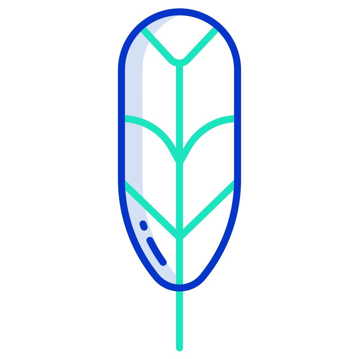 cuculus canorus feather icon