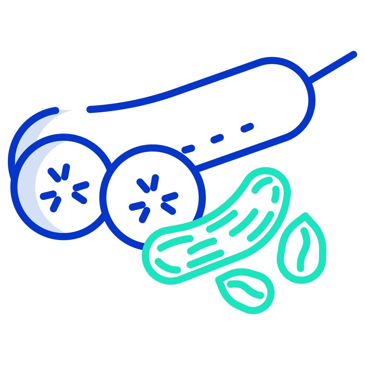 cucumber and peanut icon
