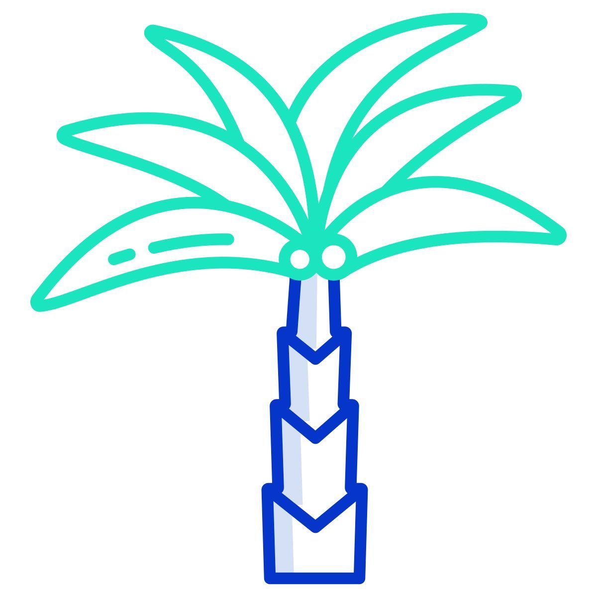 date palm icon