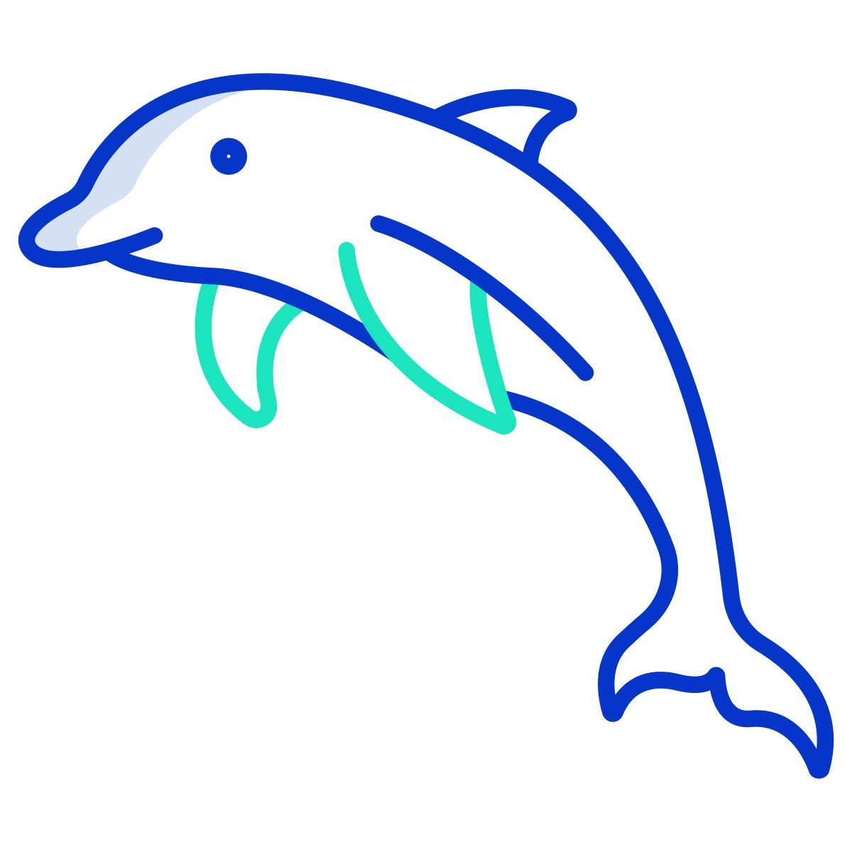 dolphin icon