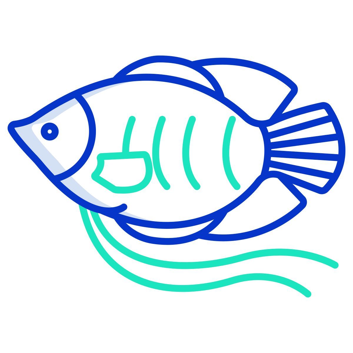 dwarf gurami fish icon