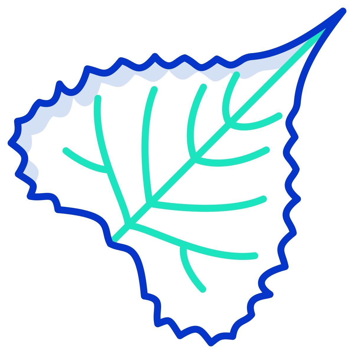 eastern cottonwood leaf icon