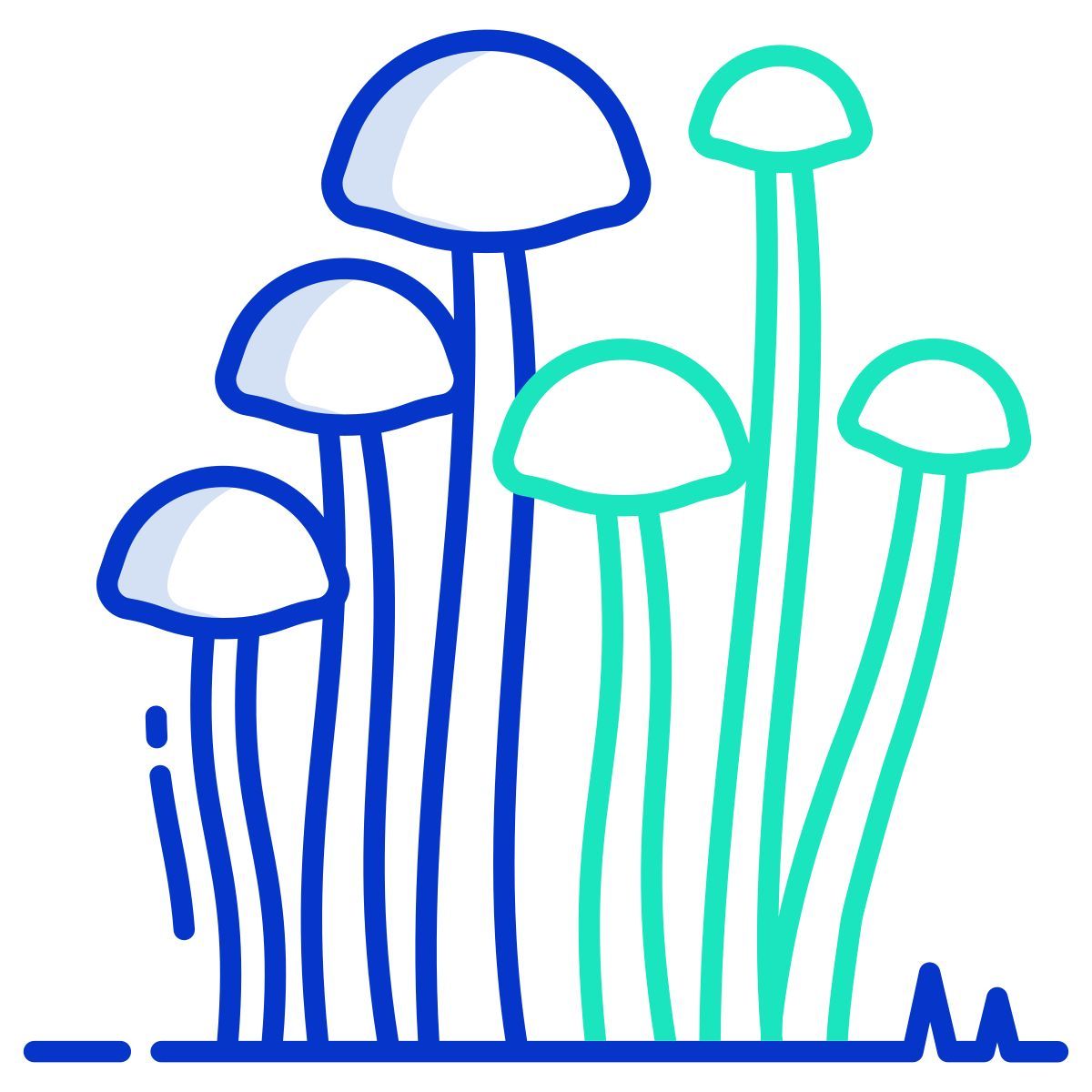 enokitake mushrooms icon