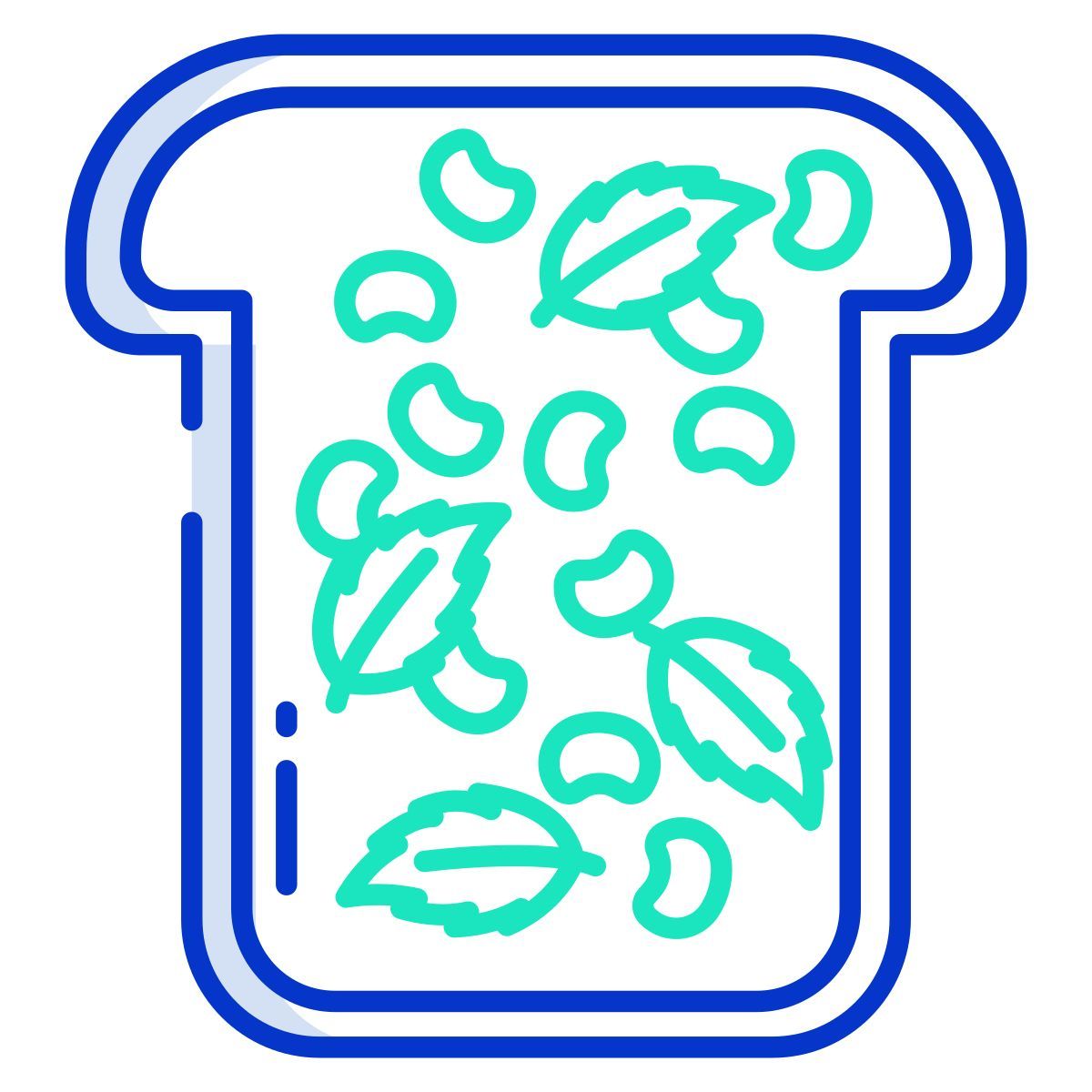 fava bean and mint icon