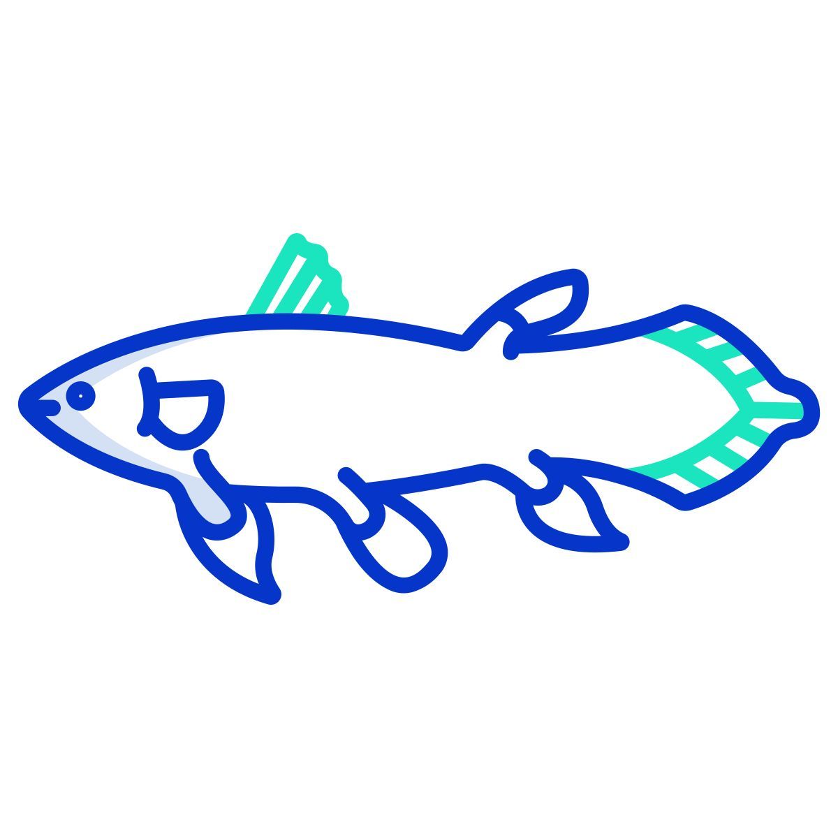 fish icon