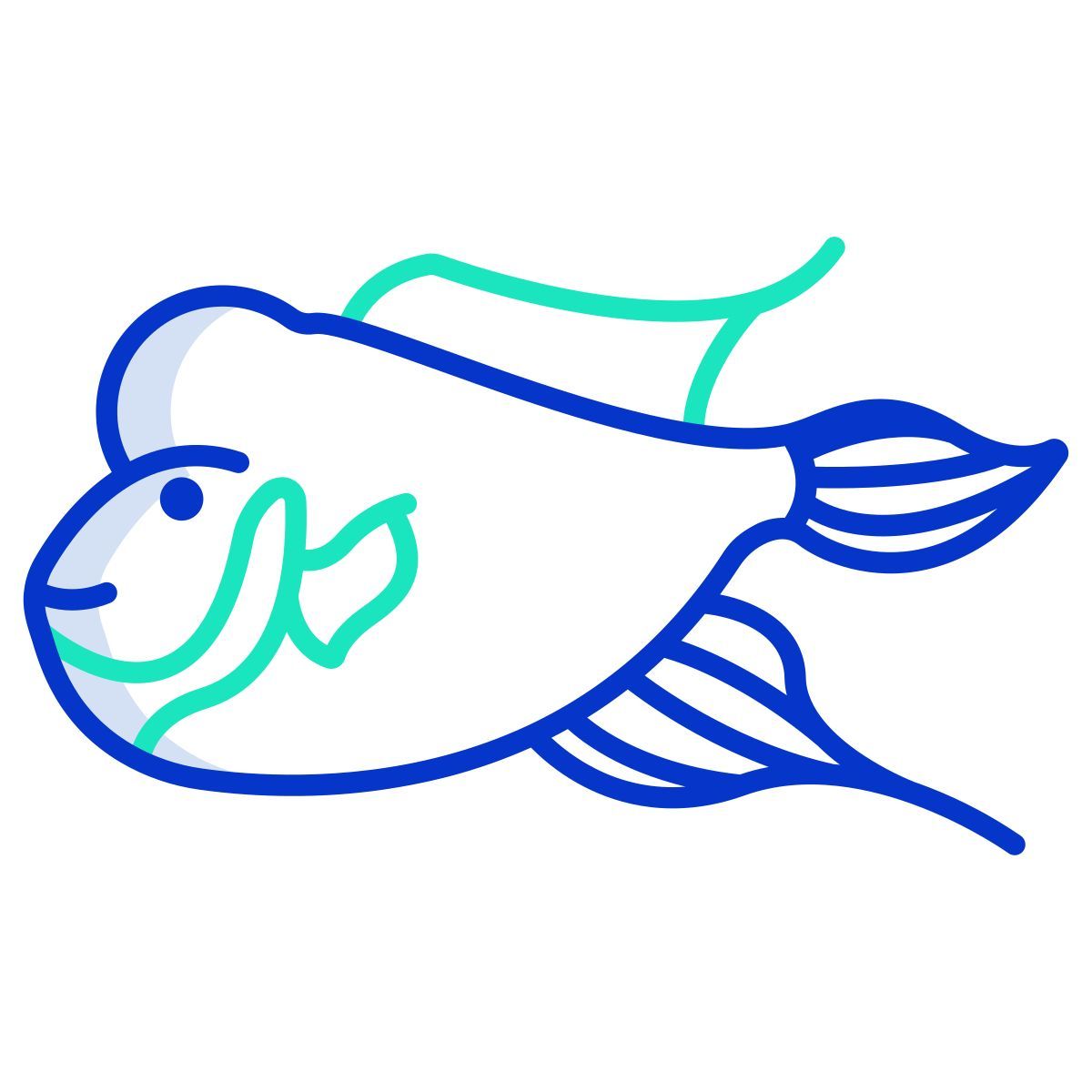 flower horn fish icon