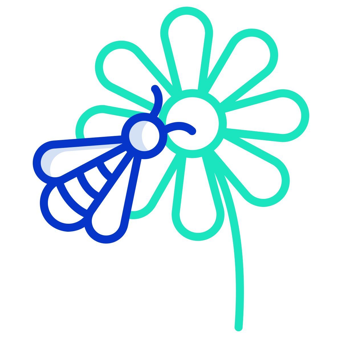 flower & bee icon